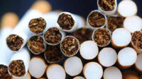Rokok Rokok