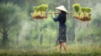petani wanita