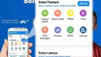 pln non