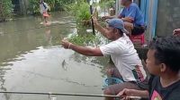 memancing ikan nila