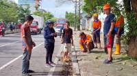 Taman median jalan nusantara