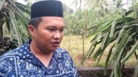 sinjai buah naga