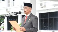 sinjai ara sekda