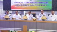 sinjai bimtek dmpts