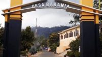 SINJAI DESA BARANIA