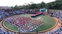 apeksi mks 1