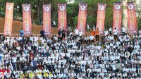 apeksi mks 2