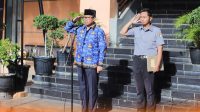 birka camat