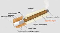 kertas rokok