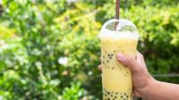 usaha minuman segar