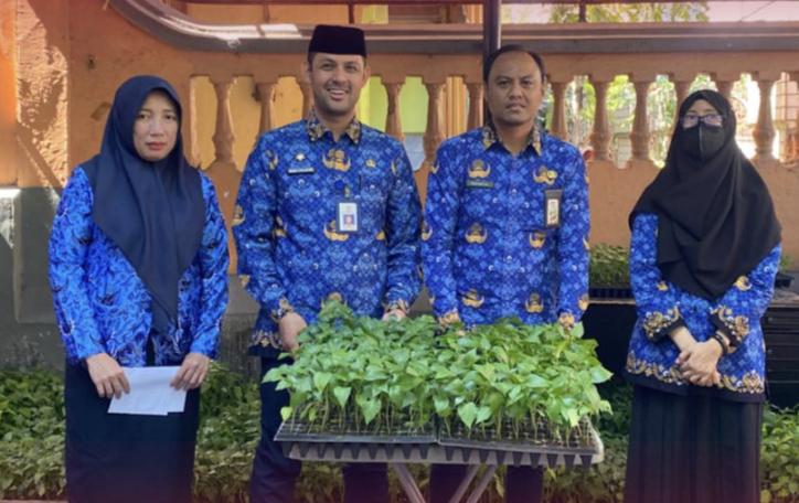 Kecamatan Bontoala bibit cabai