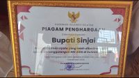 sinjai penghargaan
