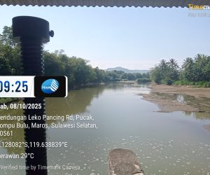 IMG-20251009-WA0013