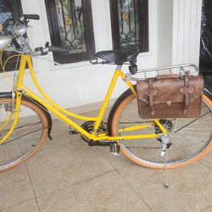 IMG-20260311-WA0017